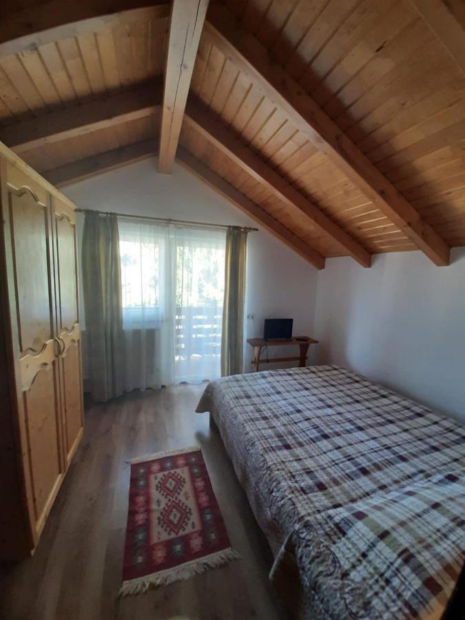 Casuta Pietrosul Rodnei Apartment Borsa  Ngoại thất bức ảnh