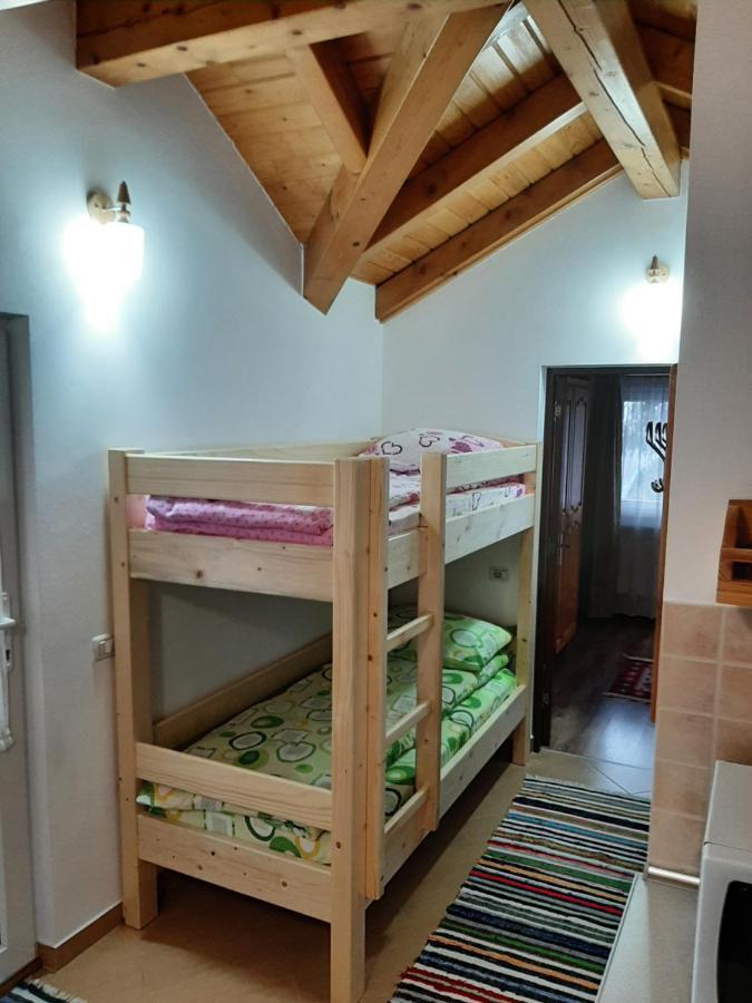 Casuta Pietrosul Rodnei Apartment Borsa  Ngoại thất bức ảnh
